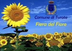 Fiera del Fiore di Turate: l'appuntamento con la primavera il primo maggio 2026