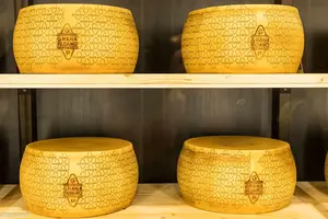 Formaggi & Sorrisi 2026: L'eccellenza casearia italiana a Cremona